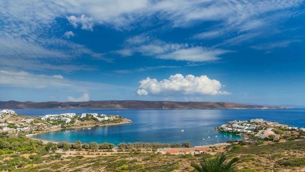 Sounio Villa Piraeus Exterior photo